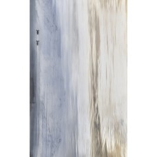 Wanaka бежевый декор 4 250х400
